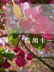 信用卡一万逾期八年