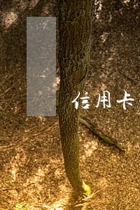 信用卡一万逾期十年 信用卡一万逾期十年