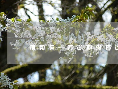 信用卡一万逾期没有还