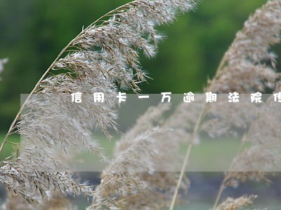 信用卡一万逾期法院传票