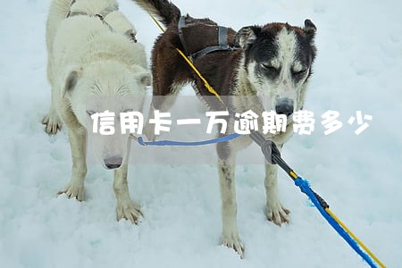 信用卡一万逾期费多少 信用卡一万逾期费多少