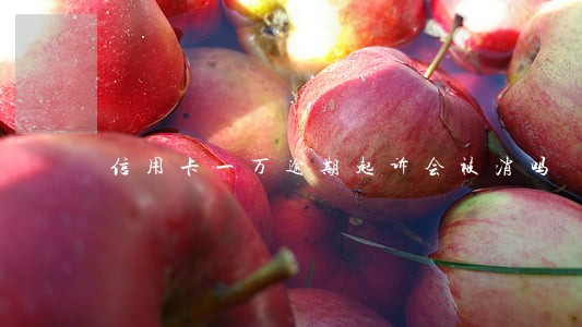 信用卡一万逾期起诉会被消吗 信用卡一万逾期起诉会被消吗