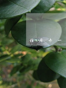 信用卡一万逾期还不上怎么办 信用卡一万逾期还不上怎么办