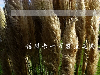 信用卡一万额度逾期三个月立案