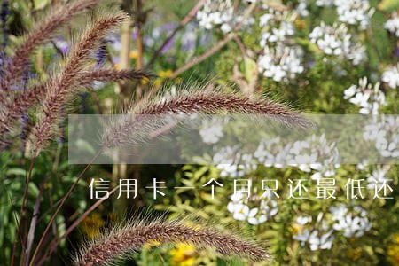 信用卡一个月只还最低还款是逾期 信用卡一个月只还最低还款是逾期