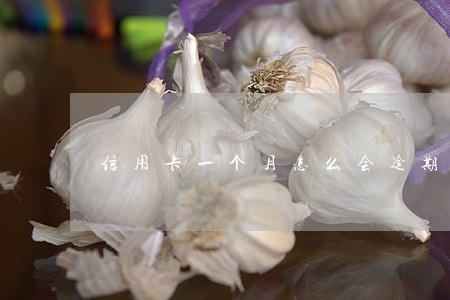 信用卡一个月怎么会逾期5次 信用卡一个月怎么会逾期5次