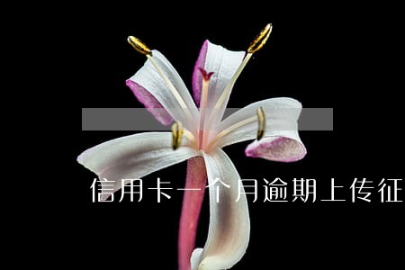 信用卡一个月逾期上传征信 信用卡一个月逾期上传征信