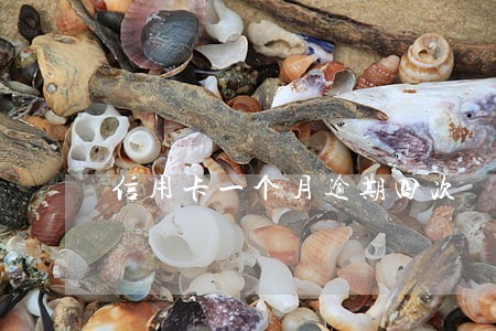 信用卡一个月逾期四次 信用卡一个月逾期四次