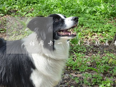 信用卡一个月逾期没事吧 信用卡一个月逾期没事吧