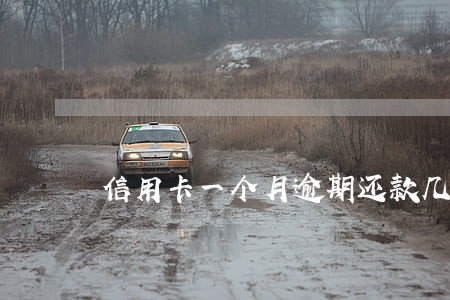 信用卡一个月逾期还款几天 信用卡一个月逾期还款几天