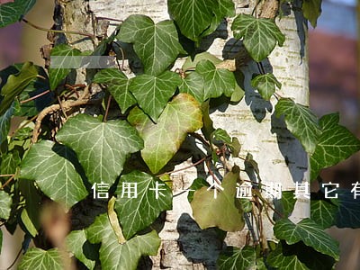 信用卡一个逾期其它有影响吗 信用卡一个逾期其它有影响吗