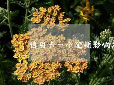 信用卡一个逾期影响大吗 信用卡一个逾期影响大吗