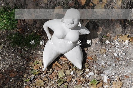 信用卡一些逾期一些没有逾期