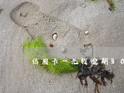 信用卡一元钱逾期30天要紧么