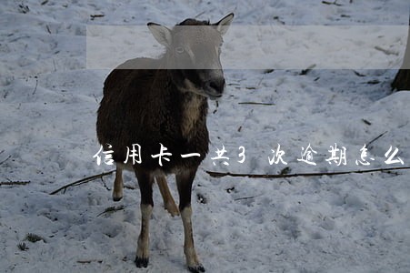 信用卡一共3次逾期怎么办 信用卡一共3次逾期怎么办