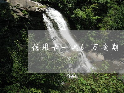 信用卡一共6万逾期 信用卡一共6万逾期