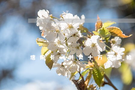 信用卡一共欠十万逾期被起诉 信用卡一共欠十万逾期被起诉