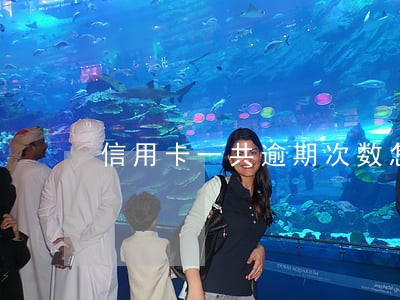 信用卡一共逾期次数怎么算