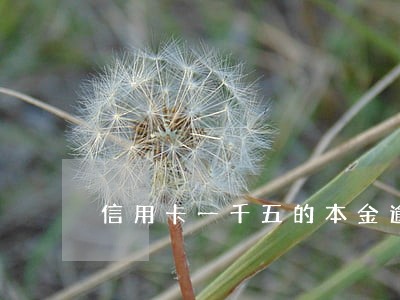 信用卡一千五的本金逾期五年 信用卡一千五的本金逾期五年