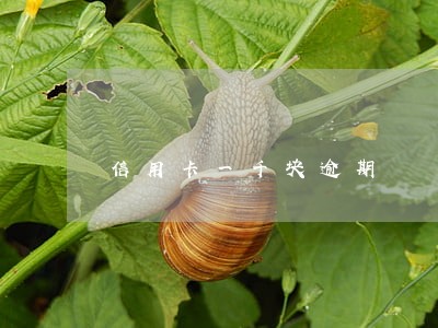 信用卡一千块逾期 信用卡一千块逾期