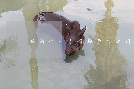 信用卡一千逾期多久上门 信用卡一千逾期多久上门