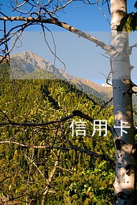 信用卡一千额度逾期 信用卡一千额度逾期