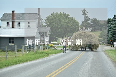 信用卡一周逾期 信用卡一周逾期