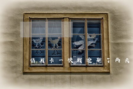 信用卡一块钱逾期了两天 信用卡一块钱逾期了两天