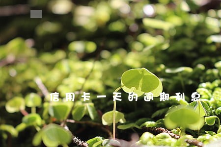 信用卡一天的逾期利息 信用卡一天的逾期利息