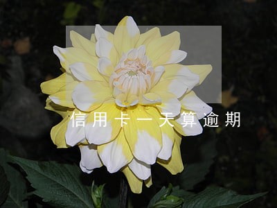 信用卡一天算逾期