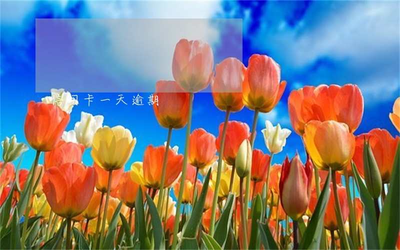 信用卡一天逾期 信用卡一天逾期