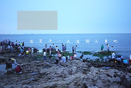 信用卡一天逾期没事吧 信用卡一天逾期没事吧