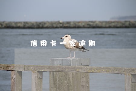 信用卡一家逾期 信用卡一家逾期