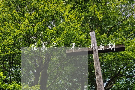 信用卡一年5次逾期 信用卡一年5次逾期