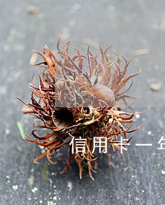 信用卡一年前有三次逾期记录 信用卡一年前有三次逾期记录