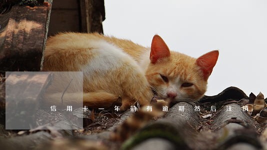 信用卡一年前有逾期然后注销