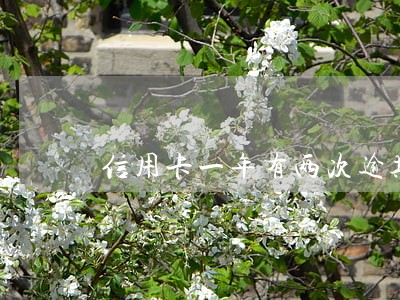 信用卡一年有两次逾期会黑户吗 信用卡一年有两次逾期会黑户吗