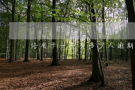 信用卡一年有多少人逾期 信用卡一年有多少人逾期