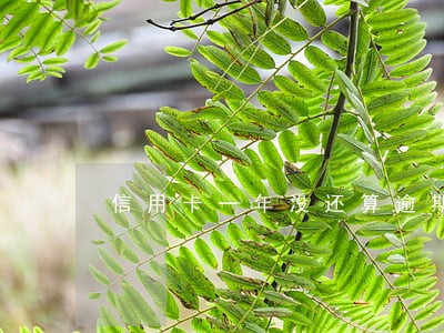 信用卡一年没还算逾期几次