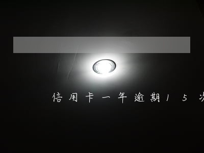 信用卡一年逾期15次
