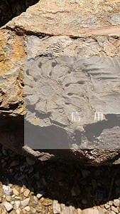 信用卡一年逾期三次影响征信吗 信用卡一年逾期三次影响征信吗