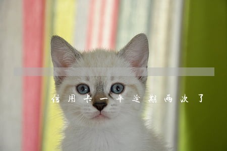 信用卡一年逾期两次了 信用卡一年逾期两次了