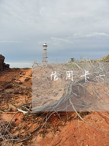 信用卡一年逾期两次有什么后果