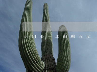 信用卡一年逾期五次 信用卡一年逾期五次