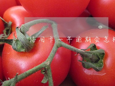 信用卡一年逾期会怎样 信用卡一年逾期会怎样