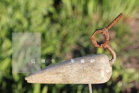 信用卡一年逾期六次 信用卡一年逾期六次