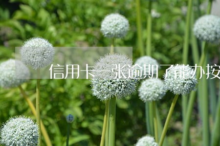 信用卡一张逾期了能办按揭吗 信用卡一张逾期了能办按揭吗
