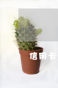 信用卡一张逾期其他全部被停卡