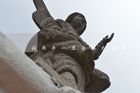信用卡一旦逾期怎么办 信用卡一旦逾期怎么办