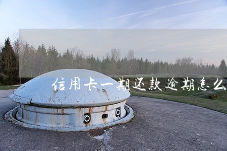 信用卡一期还款逾期怎么办 信用卡一期还款逾期怎么办
